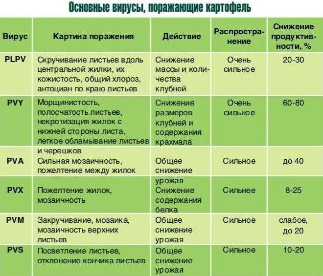 Вирус поражающий растения примеры Вирусы и бактериофаги презентация онлайн