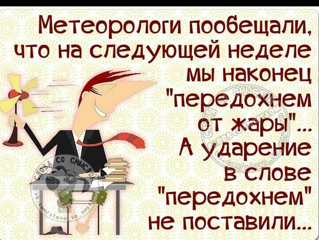 Как работаем на следующей неделе. Шутки о жаре. Юмор про жару. Анекдоты про жару и лето. Шутки про жару.