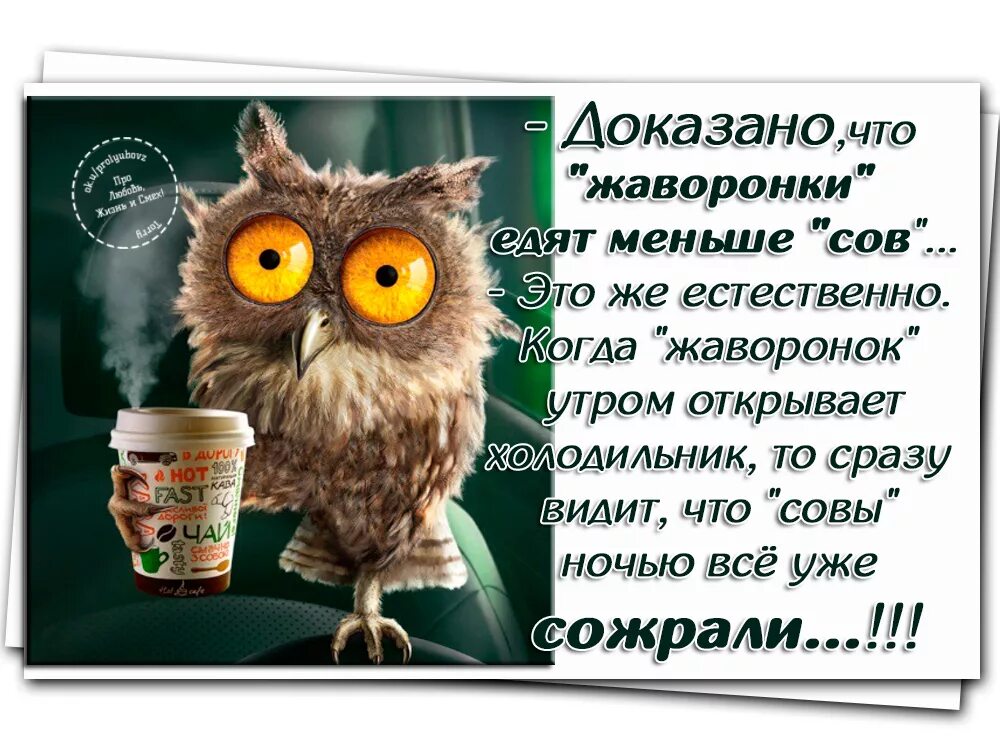Стих помощница. Одни говорят что счастье. Сияла ночь луной был полон сад лежали фет. Радостные высказывания. Я всего добьюсь.