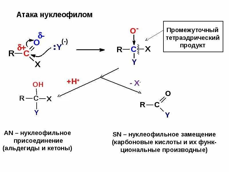 Нападение реакция. Нуклеофильное присоединение альдегидов. Механизм нуклеофильного замещения к карбонильной группе. Нуклеофильное присоединение механизм. Нуклеофильное замещение альдегидов.