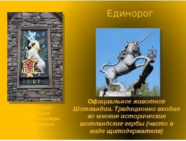 Национальным символом какой страны является единорог. Единорог национальное животное шотландии. официальное животное шотландии единорог. единорог символ шотландии. что символизирует единорог.