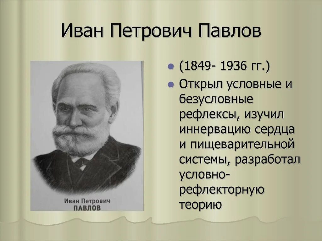 Открытия и п павлова. Вклад Ивана Павлова в биологию. Павлов ЭВКЛАД В биологию.