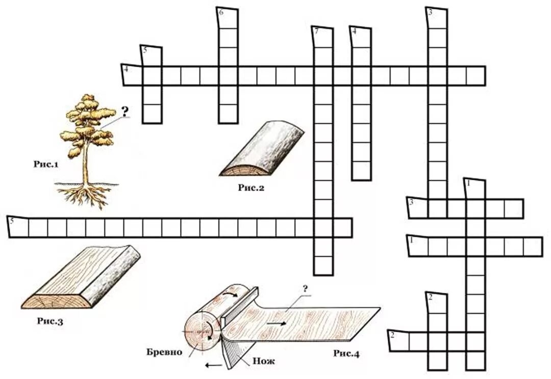 Задания по технологии. Кроссворд пиломатериалы. Кроссворд по деревьям. Задания по технологии 6 класс для мальчиков.