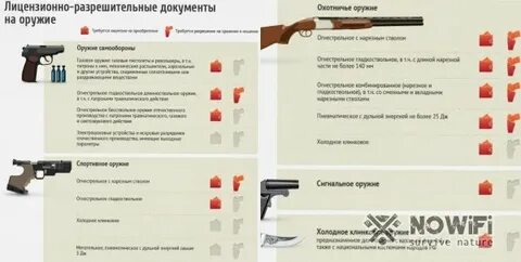 Вопросы по безопасному обращению с оружием 2024