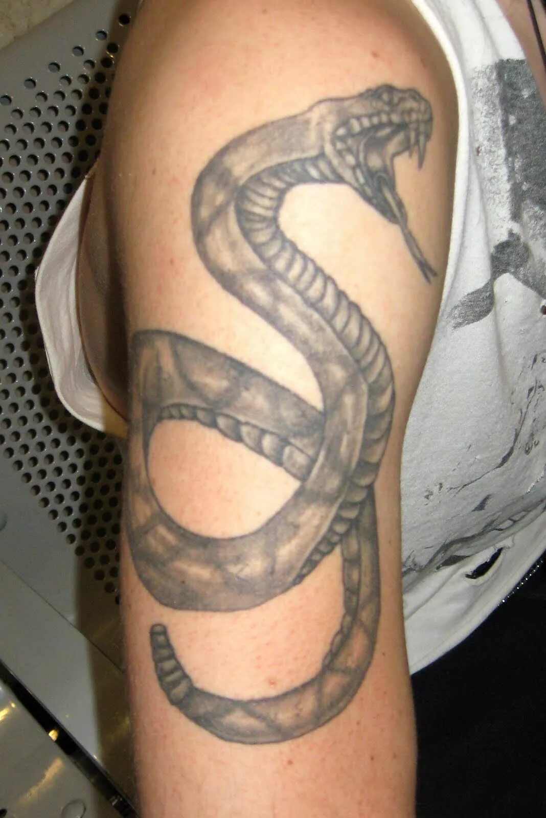 Тату змея обвивающая. Тату змея питон. Тату змея на руке. Тату змея мужские. Тату змеи на плече.