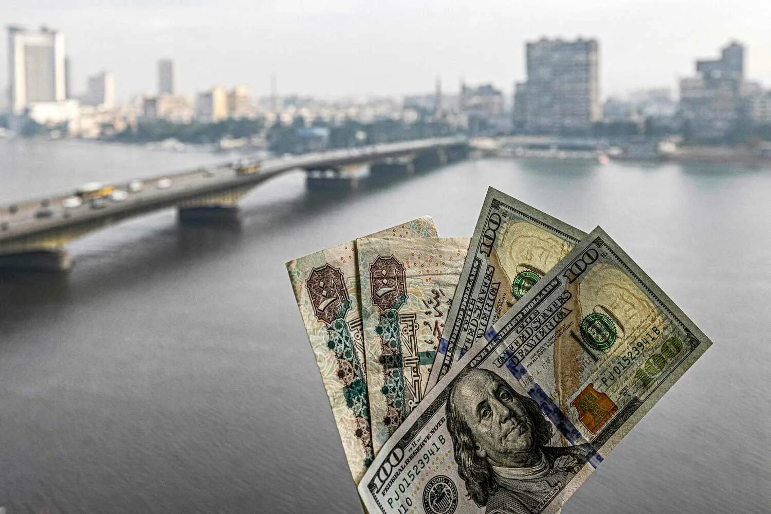 Валюта египта фото. Египетский доллар. Египетская валюта. Деньги из египта. В египте лучше евро или доллары.