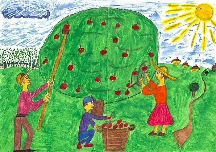 Рисование сбор урожая. Рисунок на тему сбор урожая. Праздник урожая рисунок. Уборка урожая рисунок.