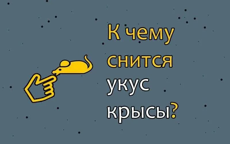 К чему снится снятся крысы. К чему снится крыса женщине. К чему снится укус крысы. К чему снятся крысы женщине кусает.