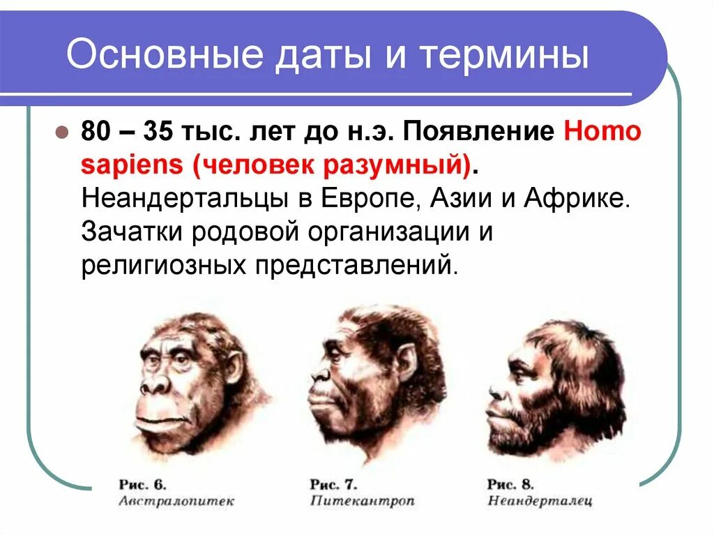 Хомо сапиенс человек разумный сформировался около. Древние люди названия. Появление homo sapiens. Название древнейших людей. Важнейшие открытия первобытных людей.