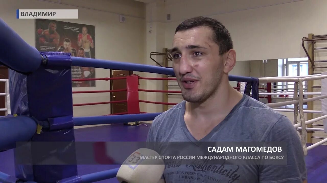 Боксер гусейн магомедов даргинец. Басир магомедов боксер. Курбанов, магомед рамазанович. Магомед магомедов бокс. Садам магомедов бокс.
