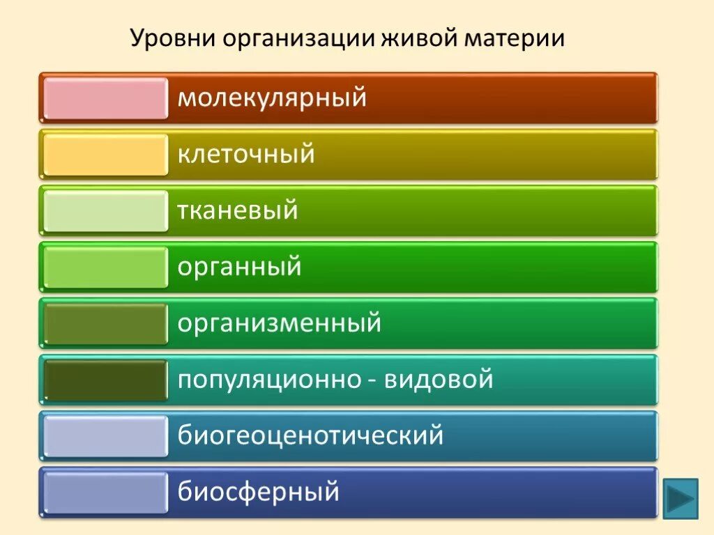 Перечислите молекулярные уровни организации живой клетки.. Последовательность уровней организации живой материи. Перечислите уровни организации живых систем. Уровень организации живой материи по возрастанию. Последовательность в организации организма