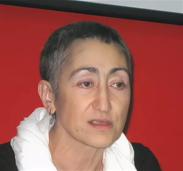 Каринэ геворгян востоковед. Геворкян каринэ политолог. Каринэ геворгян политолог востоковед. Геворгян каринэ александровна. Каринэ геворгян политолог.