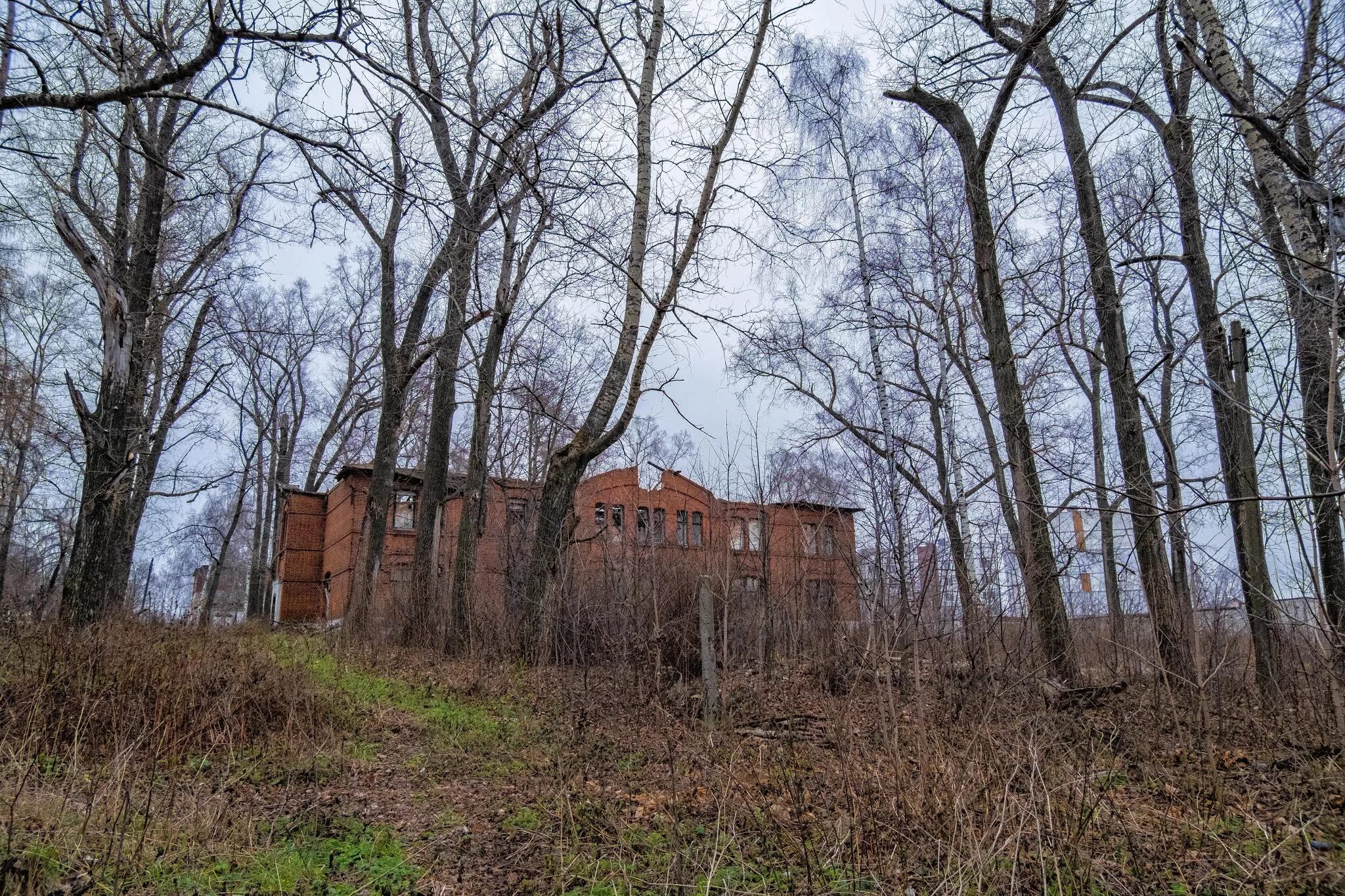 Ульяново психиатрическая больница нижний новгород. Психиатрическая больница Ляхово Нижний Новгород. Кащенко Нижний Новгород психиатрическая больница. Кащенко больница психиатрическая больница Нижний Новгород. Кащенко 12а Нижний Новгород.