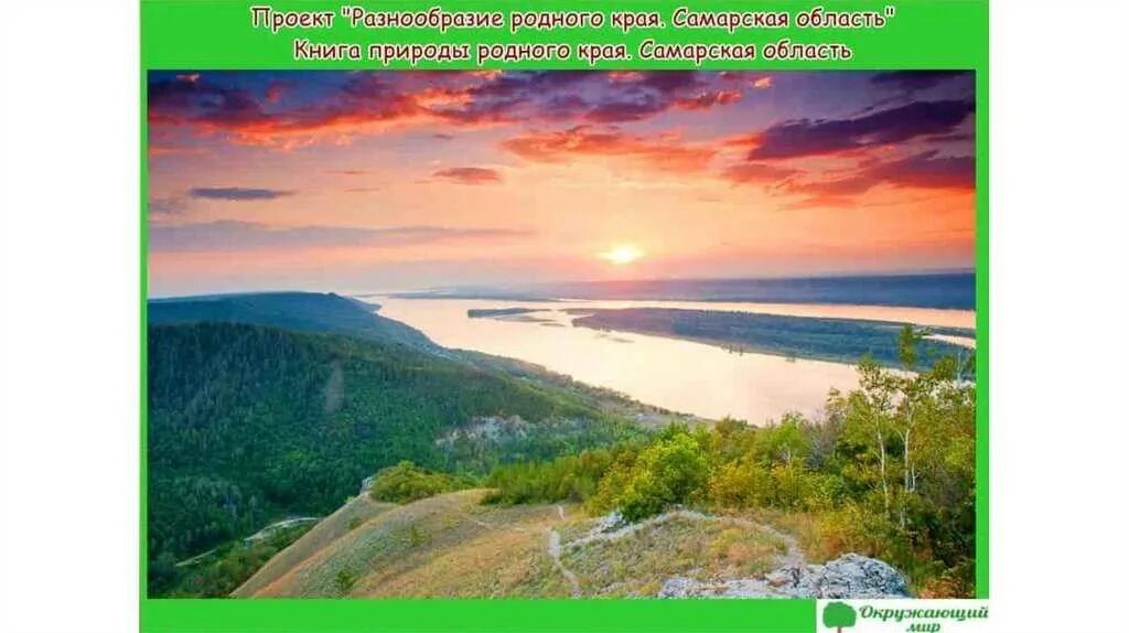 За свое за родное самарская область. Разнообразие природы родного края Самарская область. Проект родной край Самарской области. Природа родного края Самарская область проект 3. Разнообразие природы Самары.