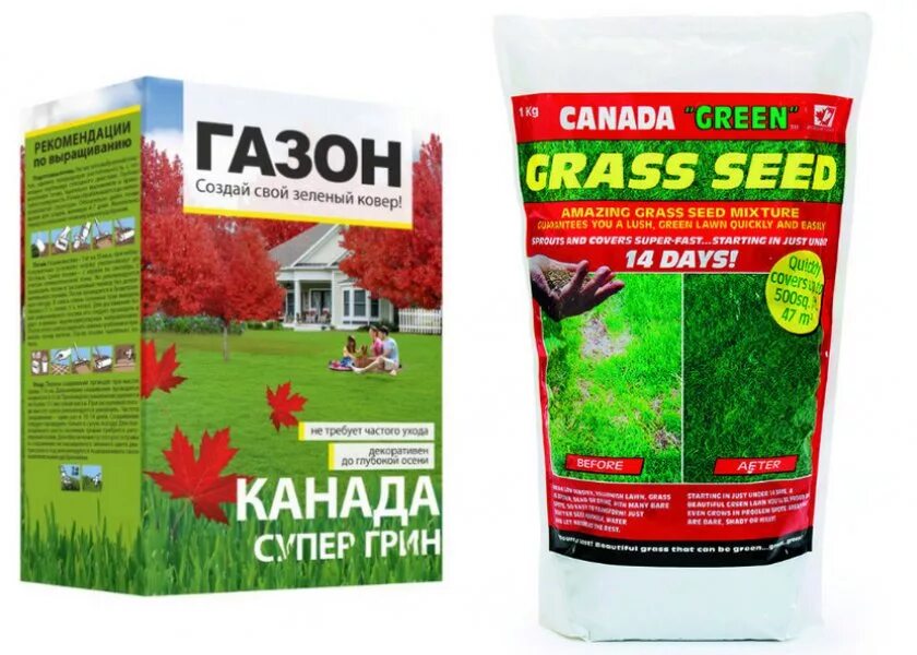 Лучший состав газонной травы. Канада Грин эко газонная трава. Канада супер Грин газонная трава. Семена травы Канада Грин. Трава газонная канадский Грин семена.