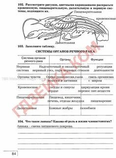 Эпс таблица по биологии