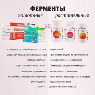 Какой фермент работает в желудке