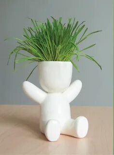 Baby plant
