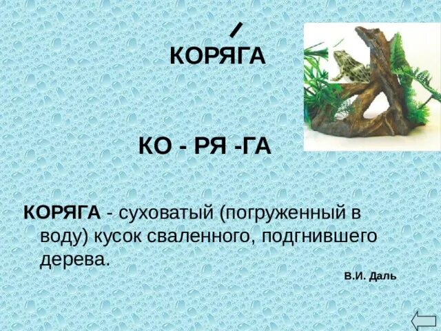 Слова коряга. Коряга значение слова. Сочинение на тему коряги. Коряга слоги. Загадка про корягу.