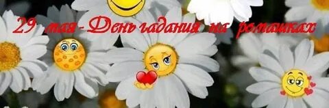 Ромашки ромашки иду и гадаю песня