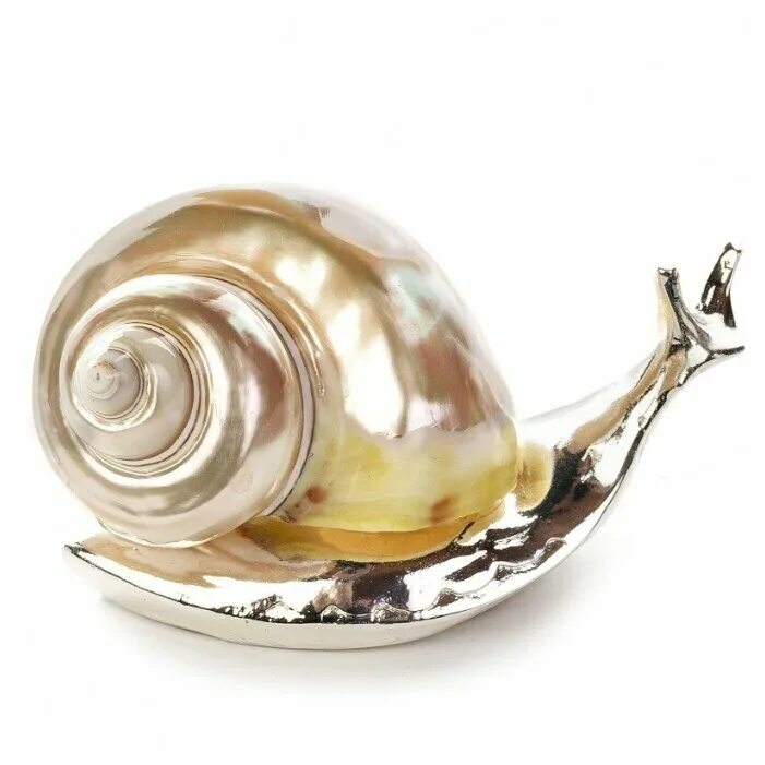 фарфоровая улитка сканворд. фарфоровая улитка сканворд. фарфоровая улитка. гальванопластика улитки. статуэтка улитка фарфоровая.