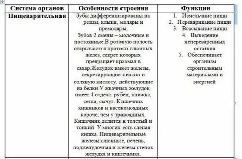 Особенности строения разных органов