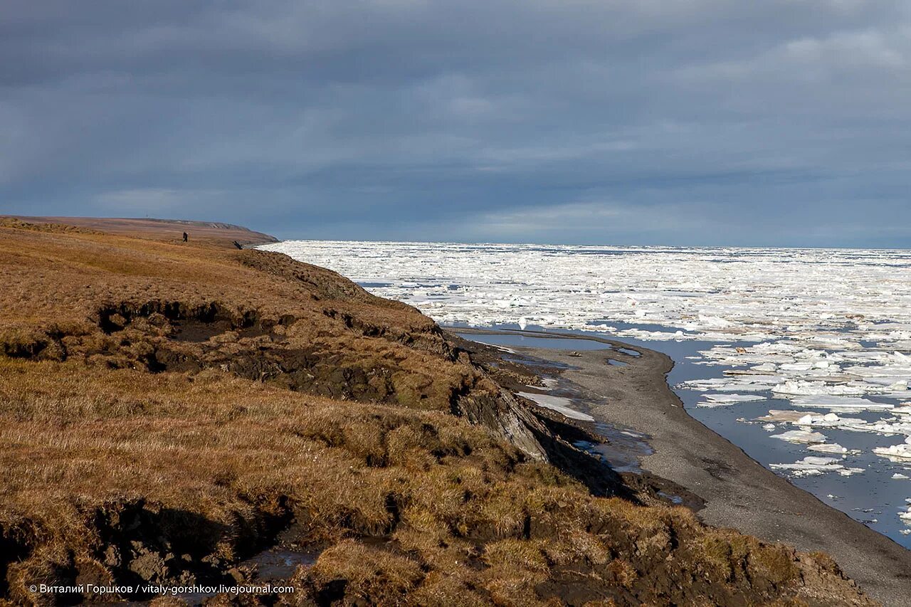 Восточное побережье таймыра. Восточное побережье таймыра. Таймыр море. Восточный берег таймыра. Таймыр остров и полуостров.