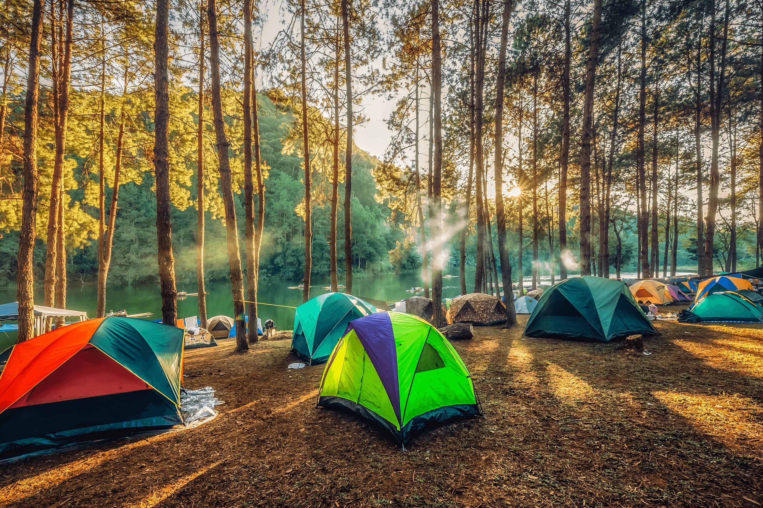 Camping outdoor. Палатка в лесу. Палатки для кемпинга. Палаточный лагерь. Палаточный лагерь в лесу.