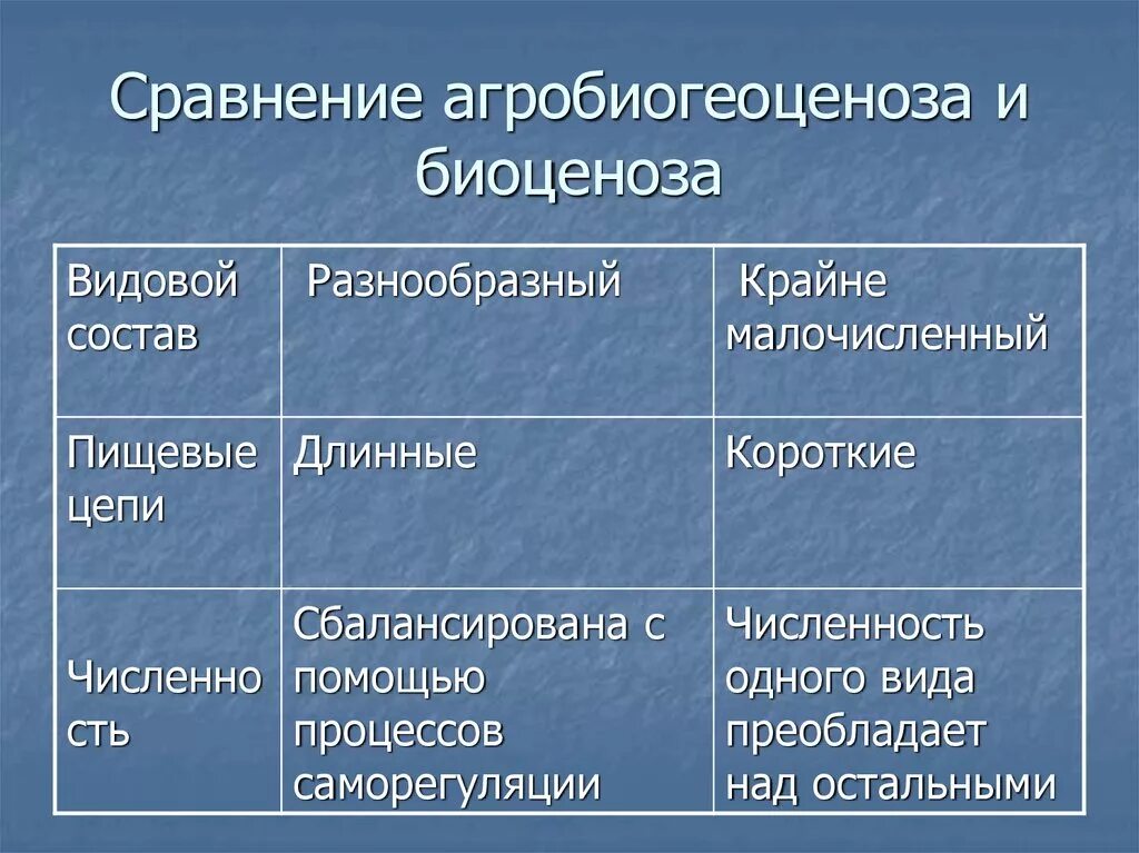 Сравнение агроценоза