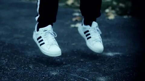 Rabbit hole adidas