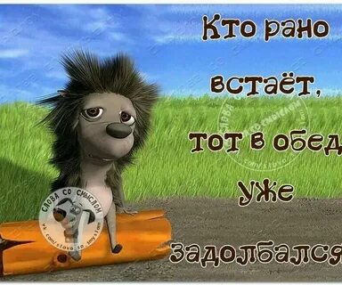 Приколы с утра пораньше