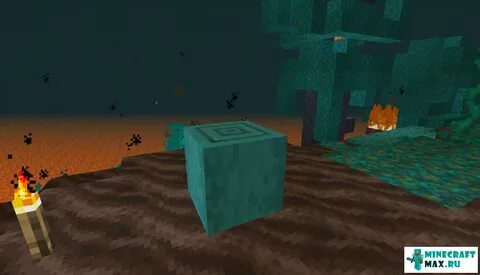 Поставь очищающую