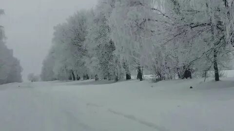 Жестокая зима