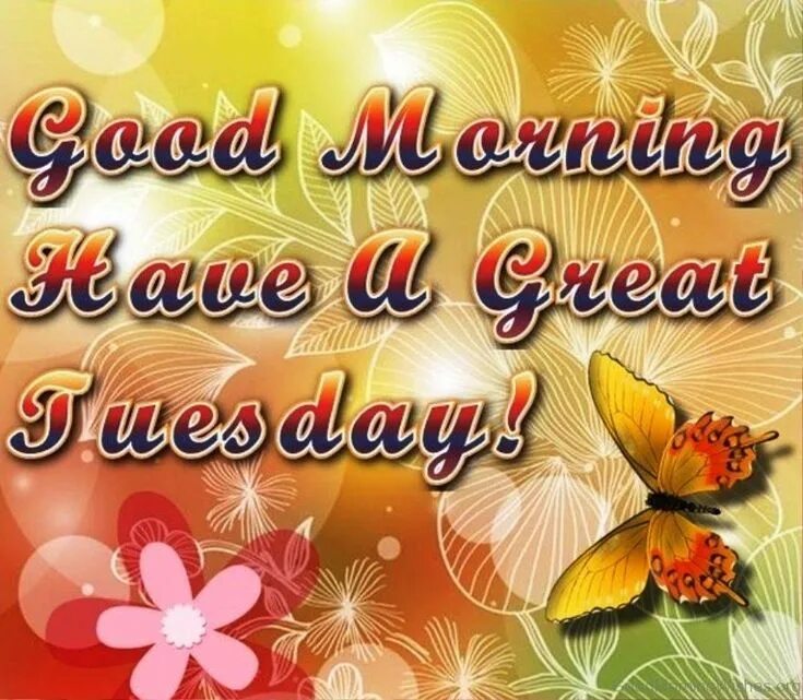 Come on tuesday. Good morning вторник. good morning tuesday. good morning happy tuesday. good morning have a nice tuesday.