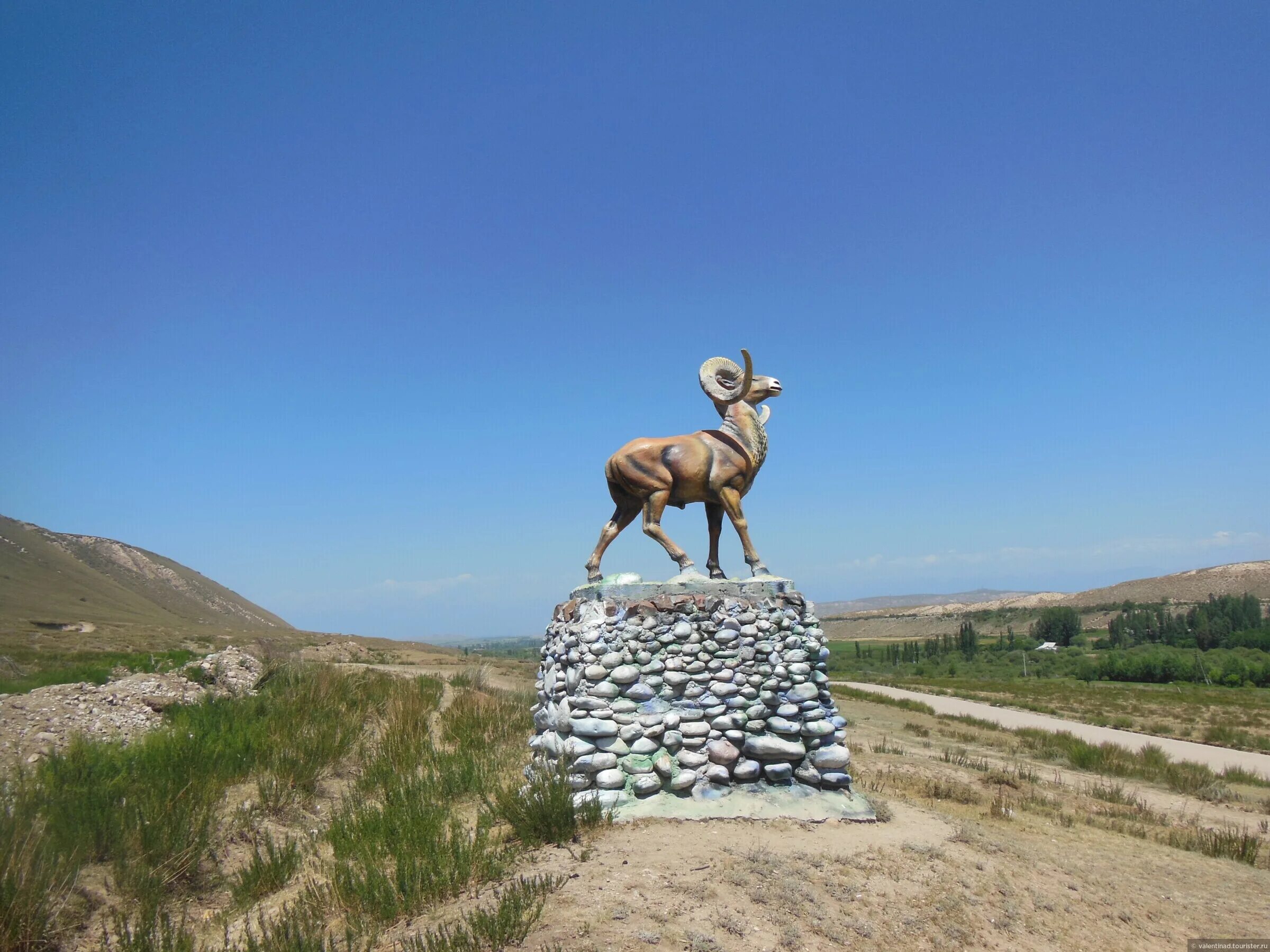 Горный баран скульптура. Статуя козла. Скульптура козла. Скульптура горного козла. Статуя козла.