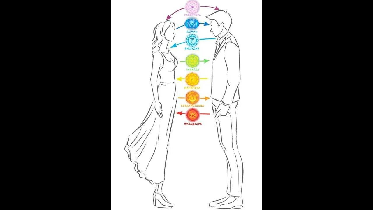 Чакры энергообмен. Чакры мужчины и женщины. Мужские и женские чакры. Чакры энергообмен между мужчиной и женщиной.