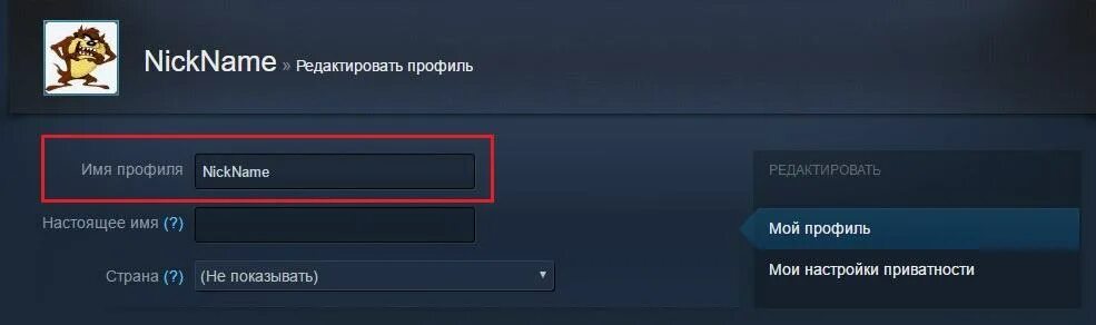 Имя профиля. Имя профиля стим. Невидимый ник в КС го. Невидимый ник в стиме.