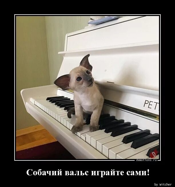 Собака поет. Крутые собаки. Заставка на рабочий стол прикольные. Собака в наушниках. Музыка где собака.