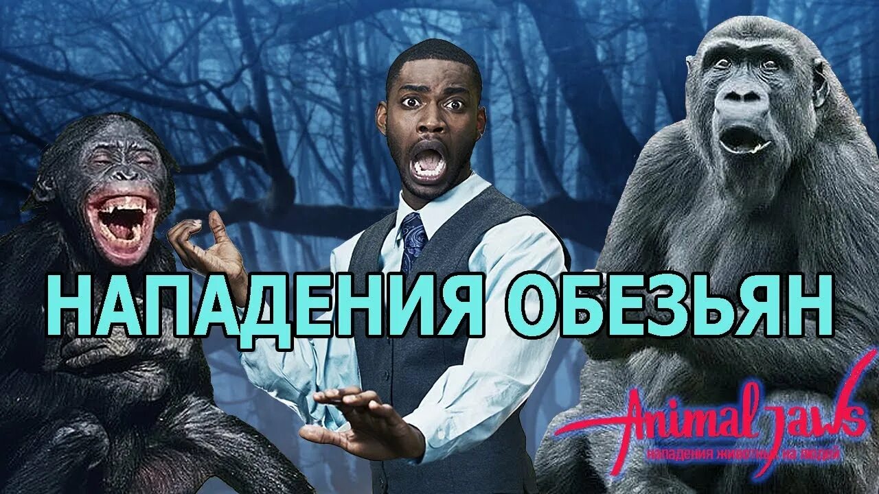 Нападение обезьян