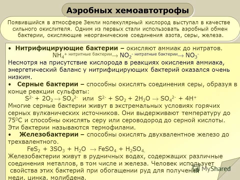 хемосинтез это в биологии кратко. признаки химических реакций используемых в хемосинтезе. основные процессы хемосинтеза. водородные бактерии хемосинтетики. хемосинтез таблица 10 класс.
