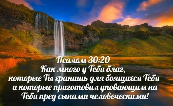 Псалом 30. Псалом 30:20. Псалом 30 текст. Как много у тебя благ которые ты хранишь для боящихся тебя.