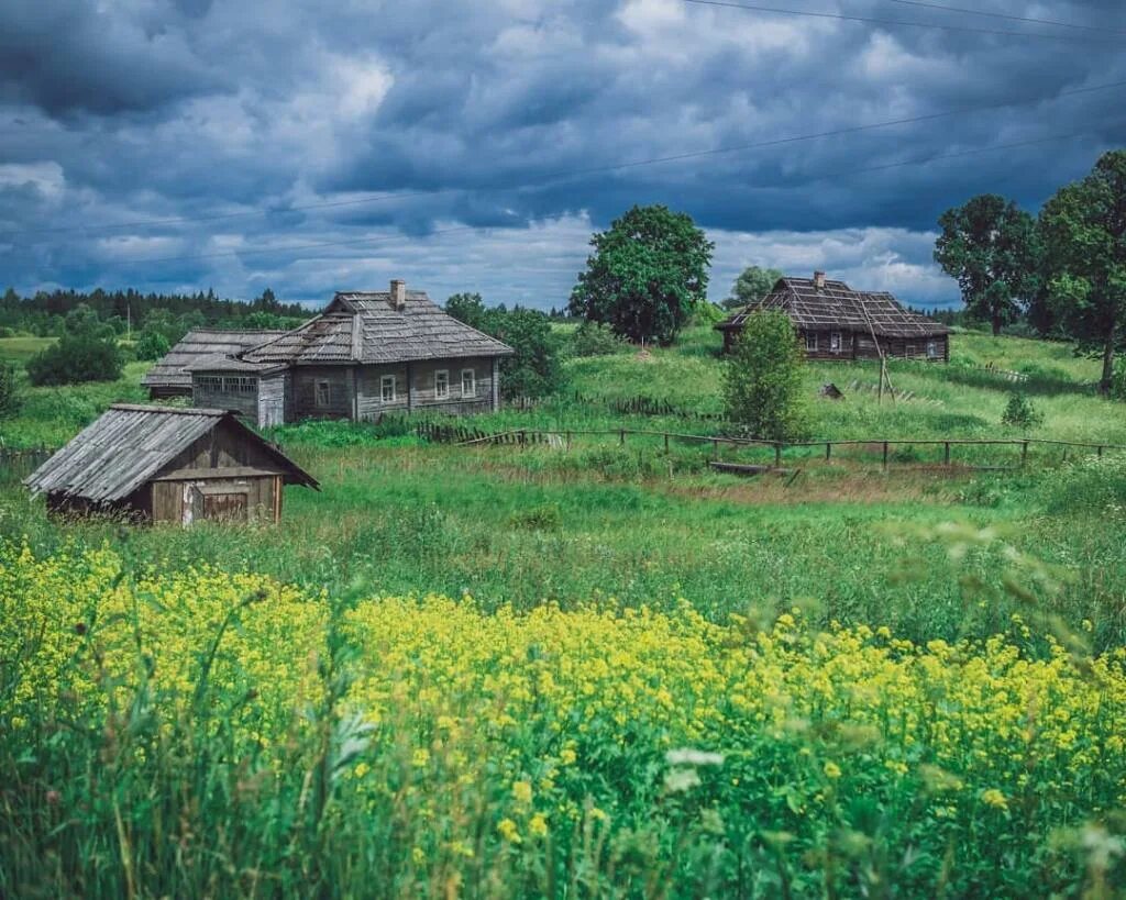 Заброшенные деревни Новгородчины. Заброшенные деревни Новгородской области. Старое село (деревня, Можайский городской округ). Русские сёла в Новгородской области