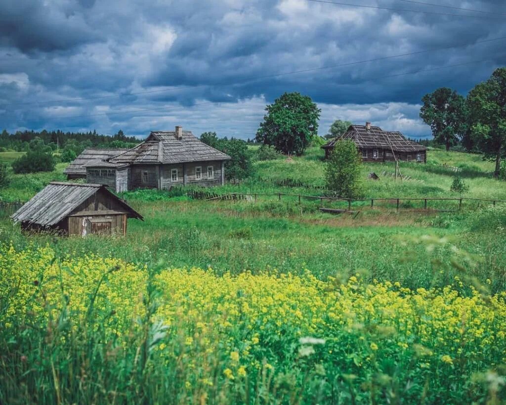 Древние села. Заброшенные деревни Новгородской области. Старое село (деревня, Можайский городской округ). Русские сёла в Новгородской области. Старинная деревня.