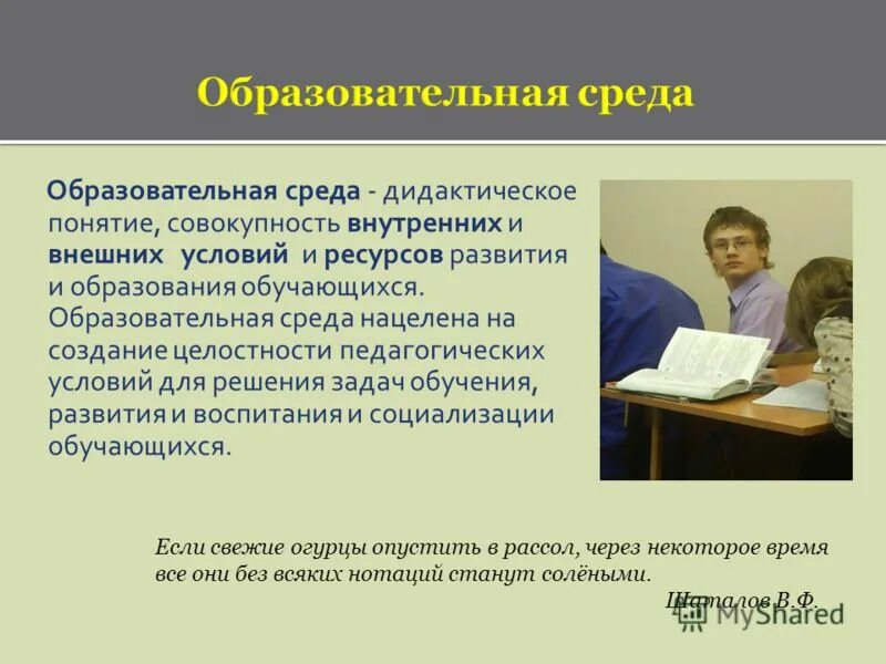 Педагогическая среда учреждения