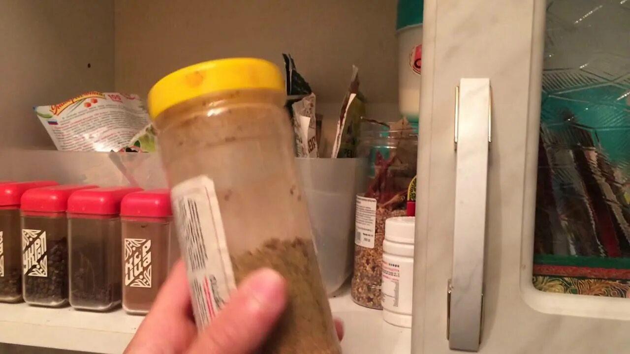 Средство от жучков на кухне. Ловушки для мучных жучков на кухне. личинки в шкафу с крупами и специями. пищевые жучки в крупах. липучка от мучных жучков в квартире.