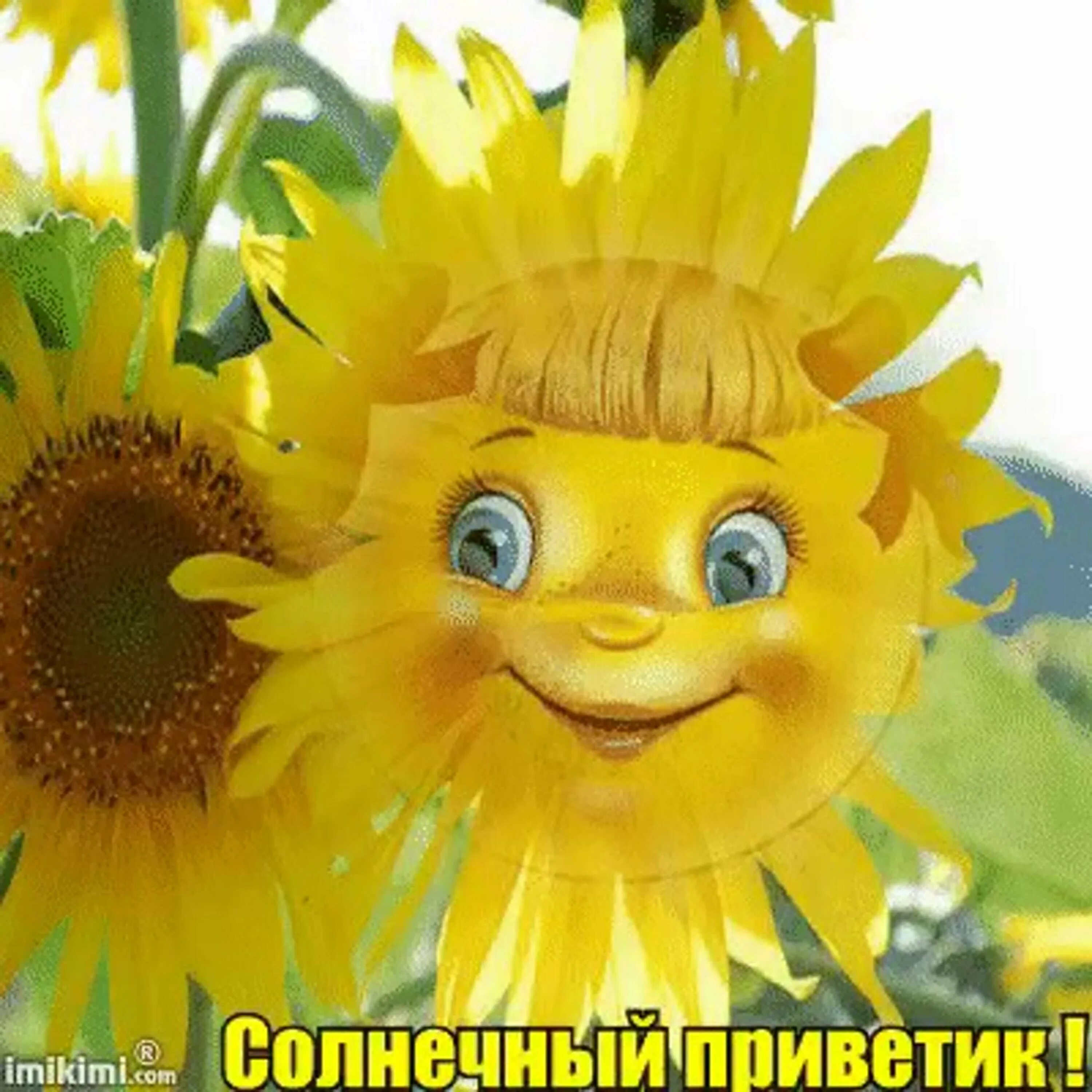Открытка солнечного денечка. Сронечерго дня и отличного настроения. Приветик от меня картинки. Солнечного настроения и удачного дня. Открытки хорошего дня и отличного настроения.