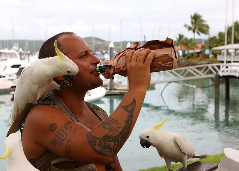 Виский. Шоссе винский. Хребет хамерсли. Форум винского. Фото винского.