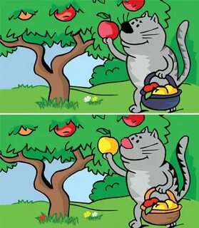 Отличия кота