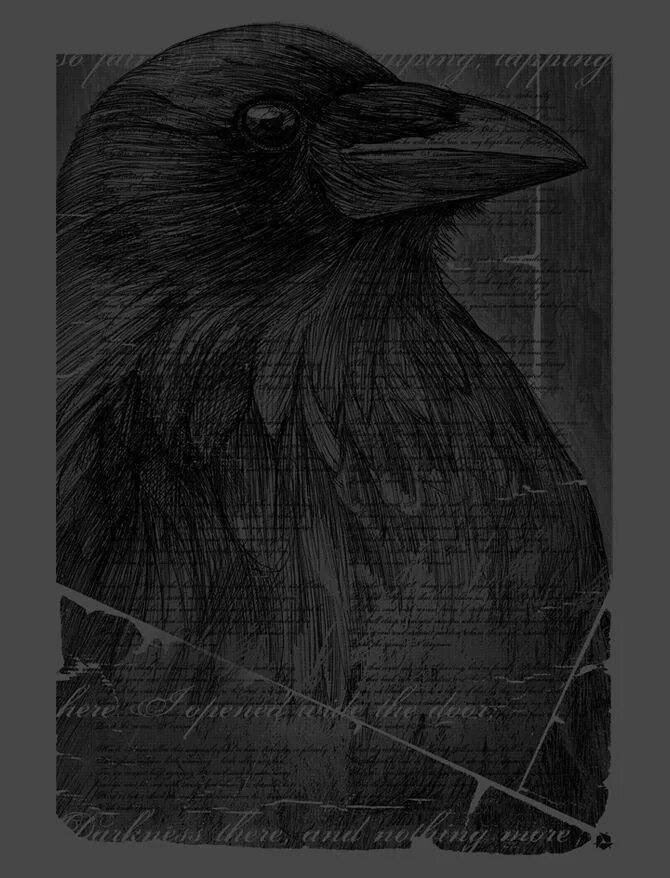 Night crows аутентификация. Edgar Allan POE Crow.