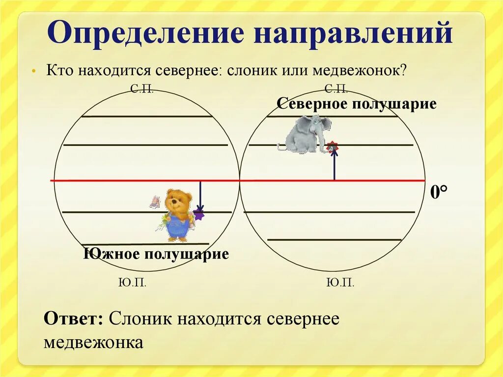 Градусная сетка полушарий. Градусная сетка. Градусная сетка 5 класс география. Определение направления.